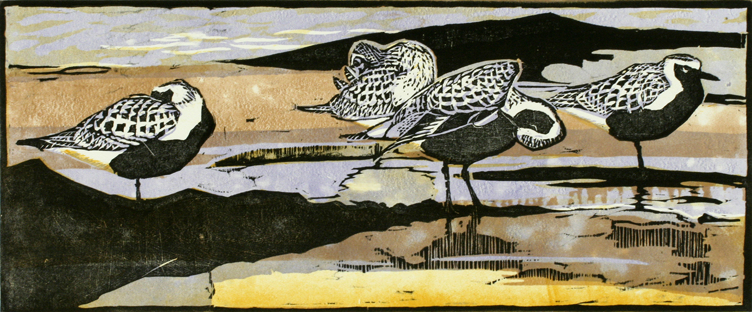 Grey Plovers by Robert Greenhalf