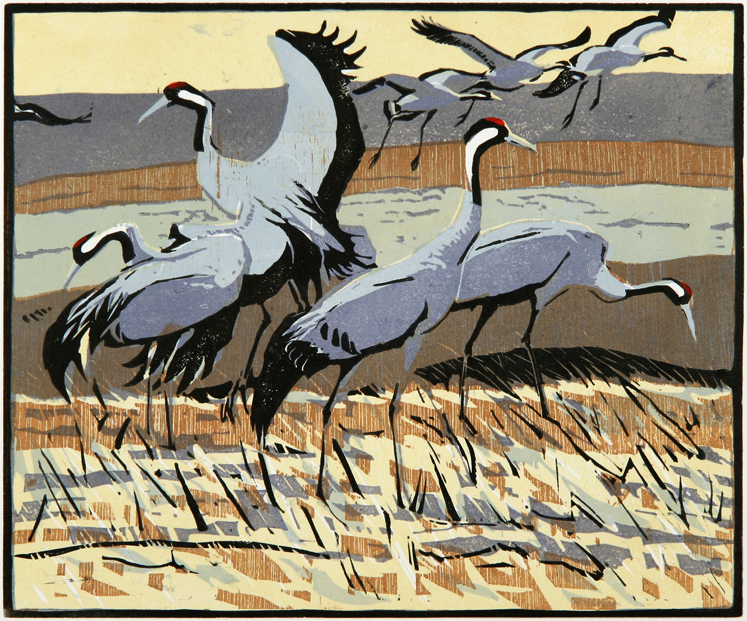 Cranes by Robert Greenhalf