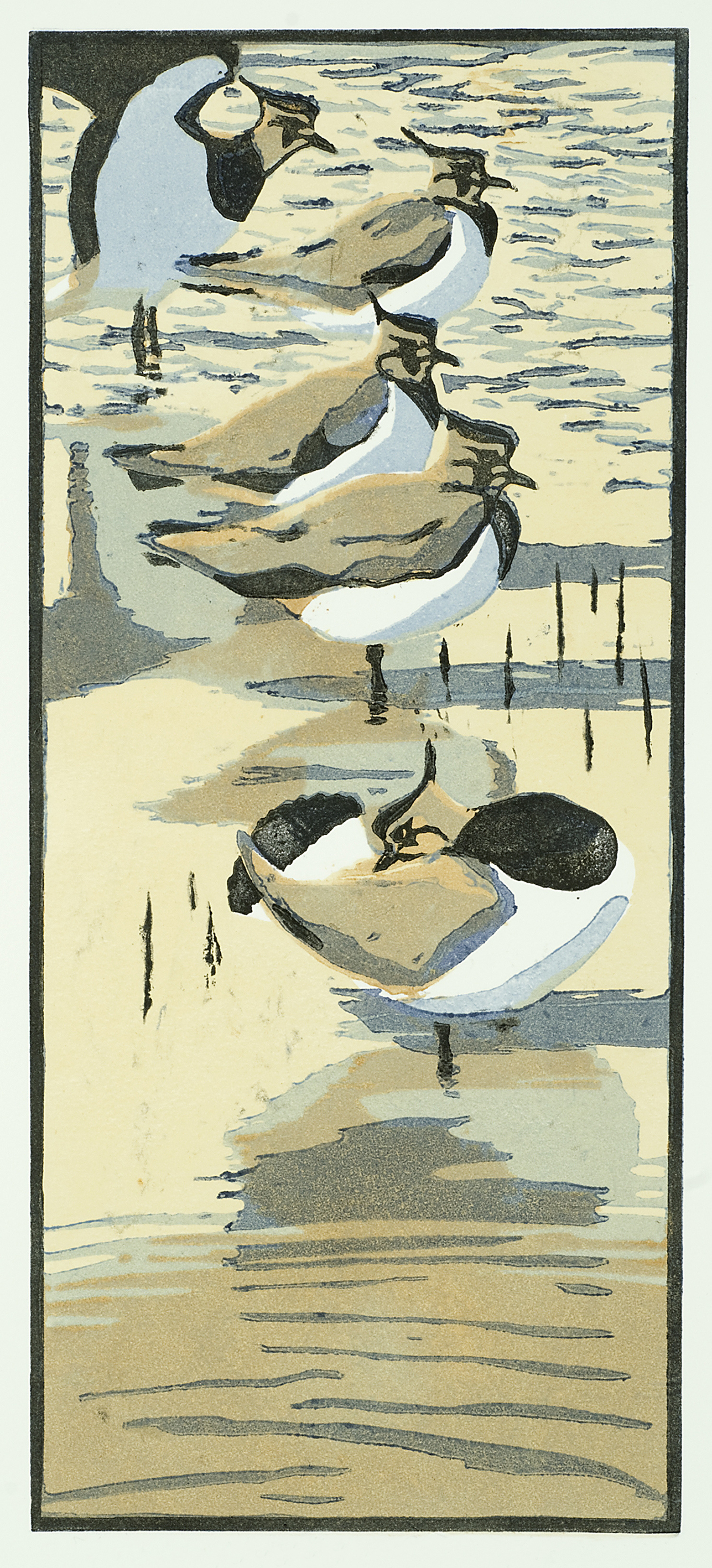 Five Lapwings by Robert Greenhalf