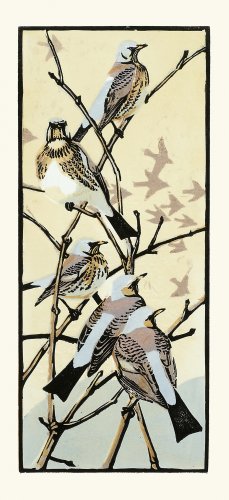 Image of Winter Thrushes