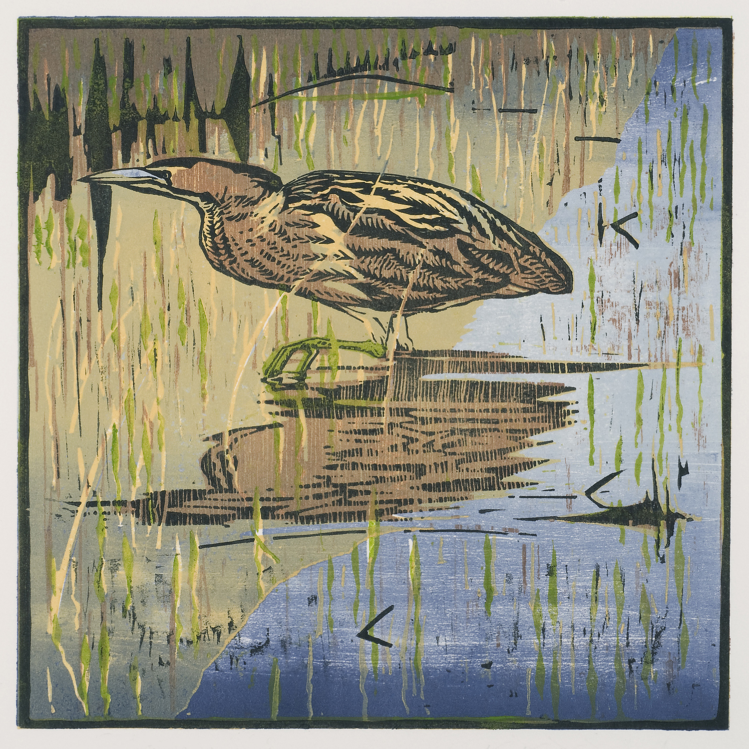 Bittern by Robert Greenhalf