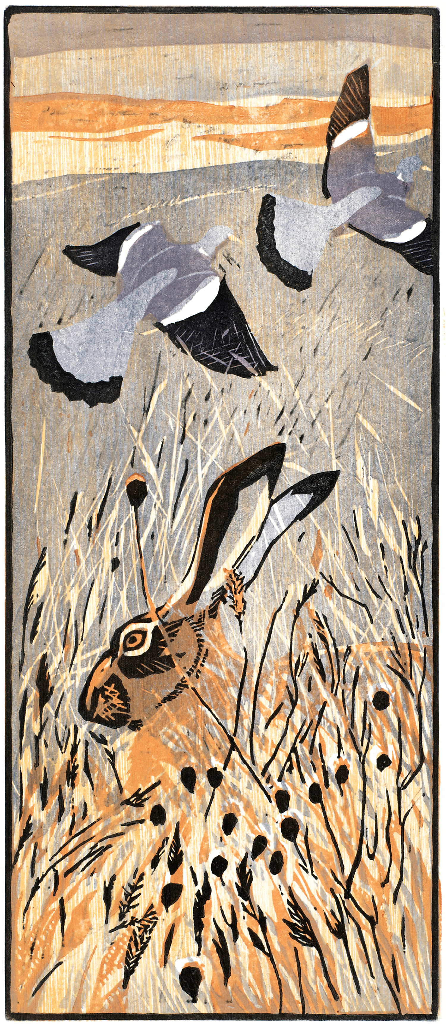 Hare & Woodpigeons by Robert Greenhalf