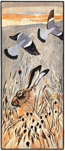 Hare & Woodpigeons