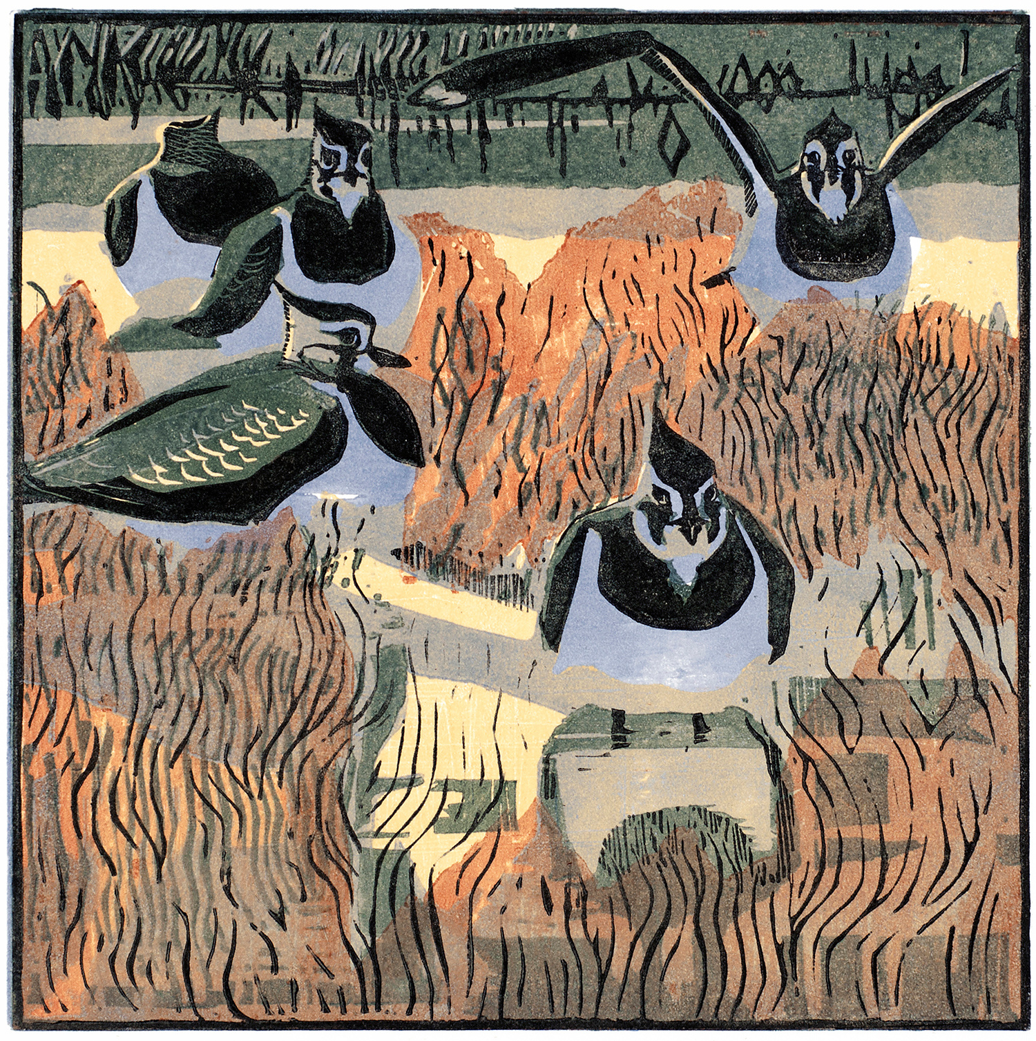 Lapwings & Seablite by Robert Greenhalf