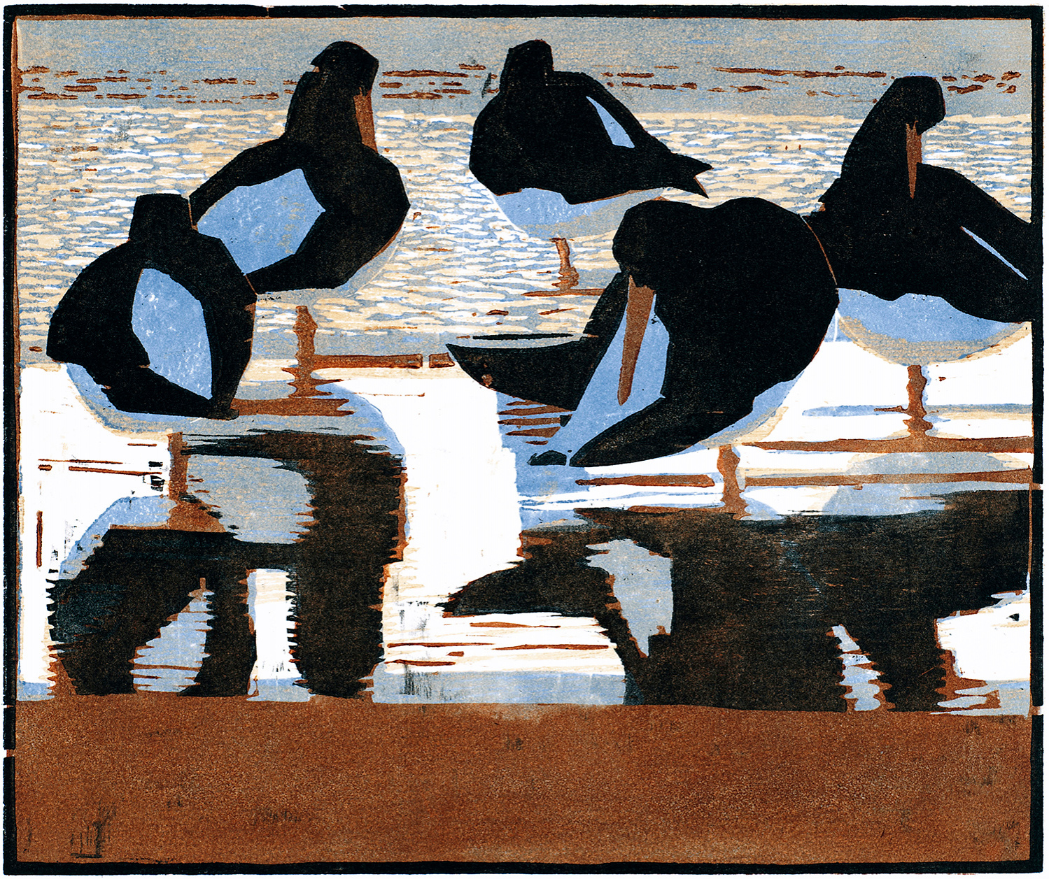 Oystercatchers, Evening by Robert Greenhalf