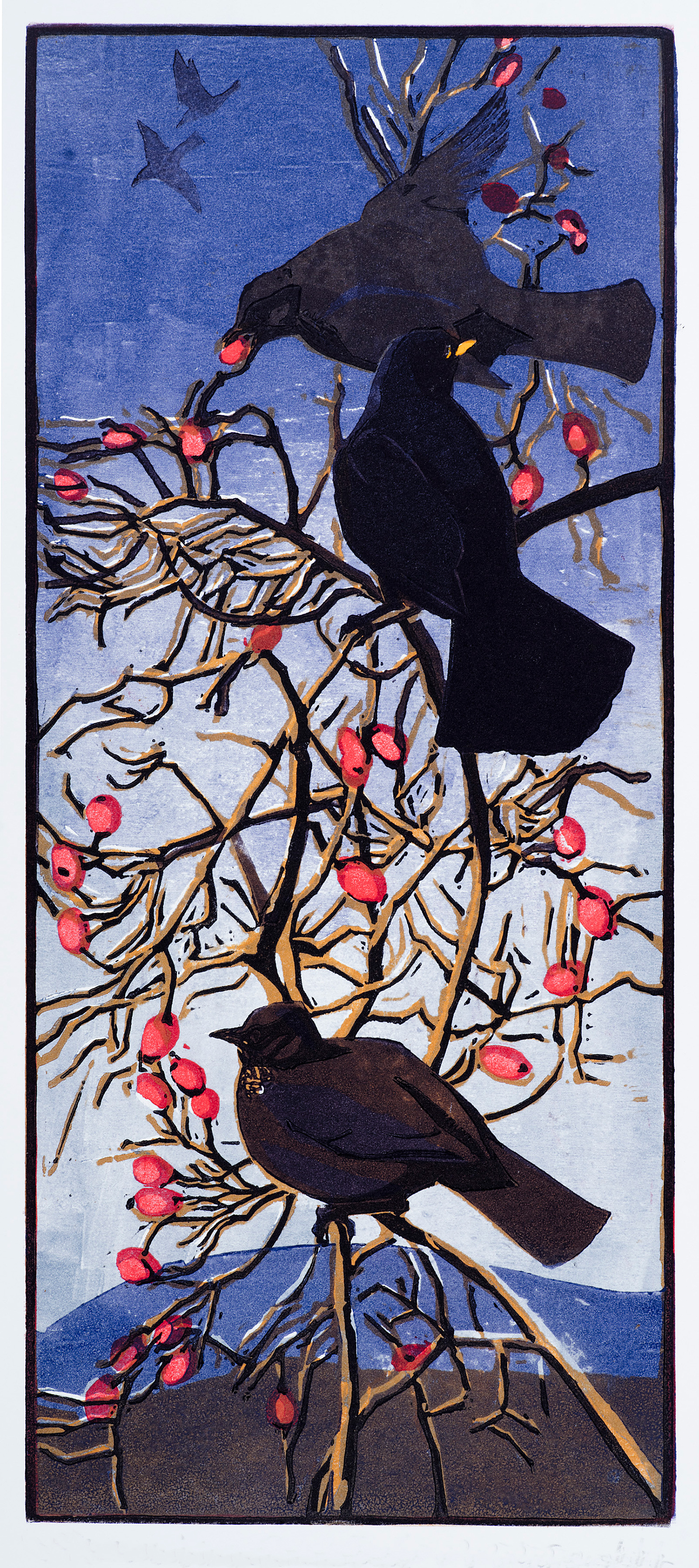 Blackbirds & Rosehips by Robert Greenhalf