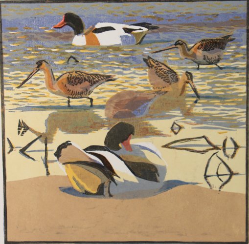 Shelducks & Godwits