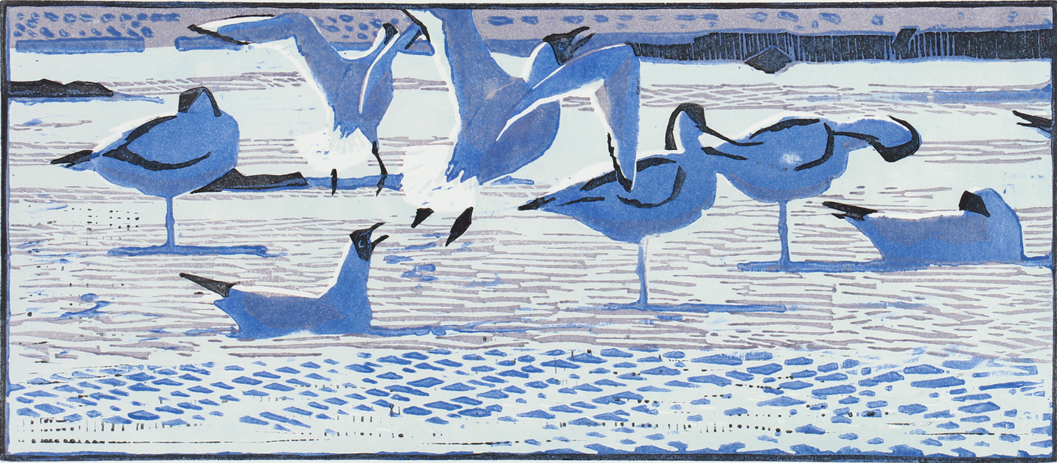 Avocets & Black-headed Gulls by Robert Greenhalf