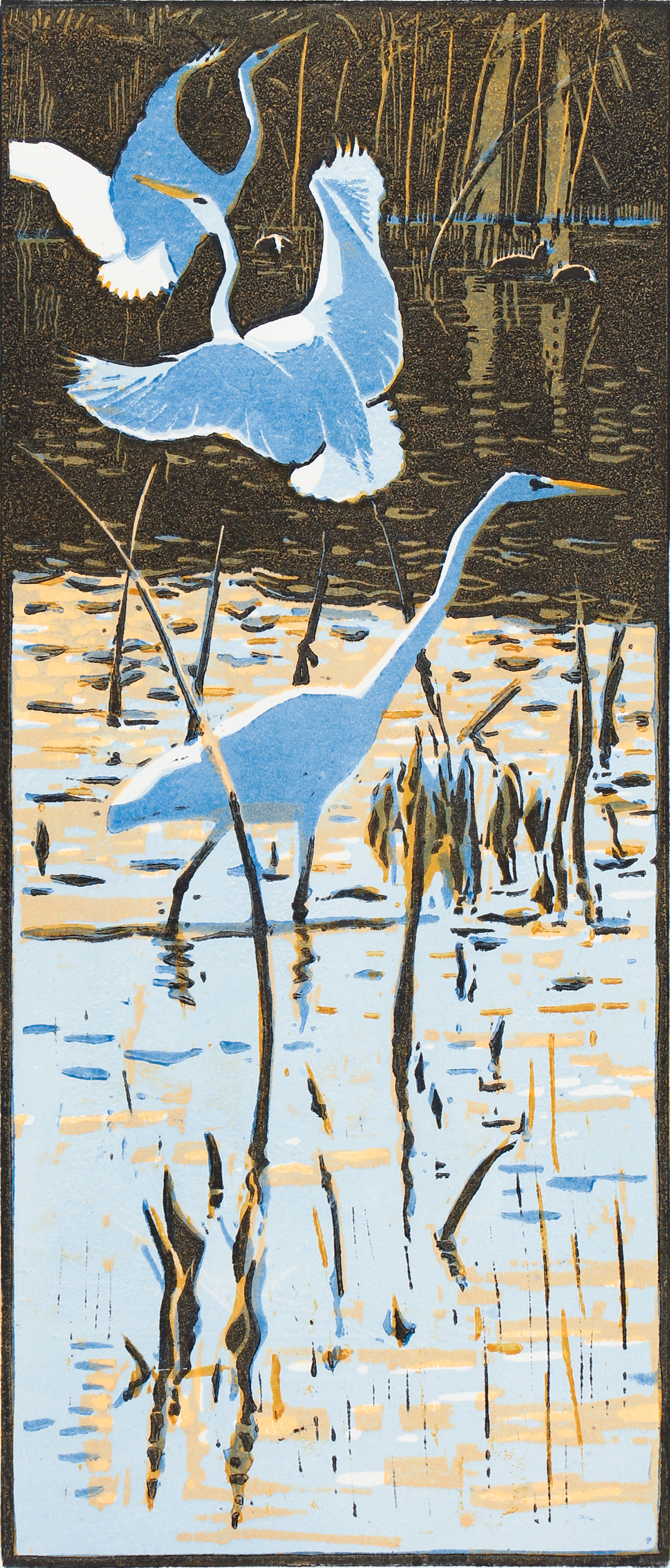 Great White Egrets by Robert Greenhalf