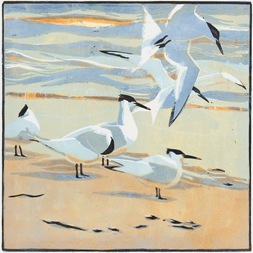 Tideline Terns