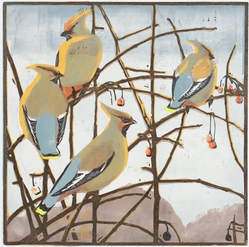 Image of Waxwings