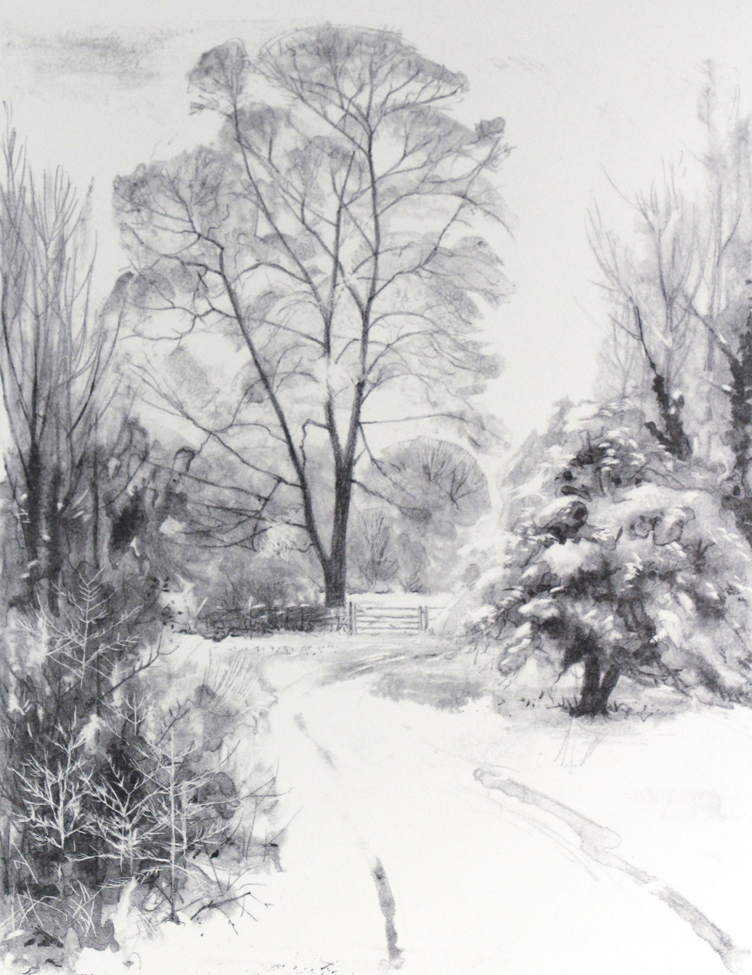 Winter Trees by Richard Sell