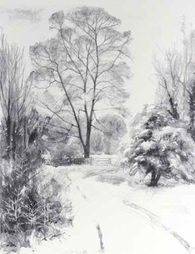 Image of Winter Trees