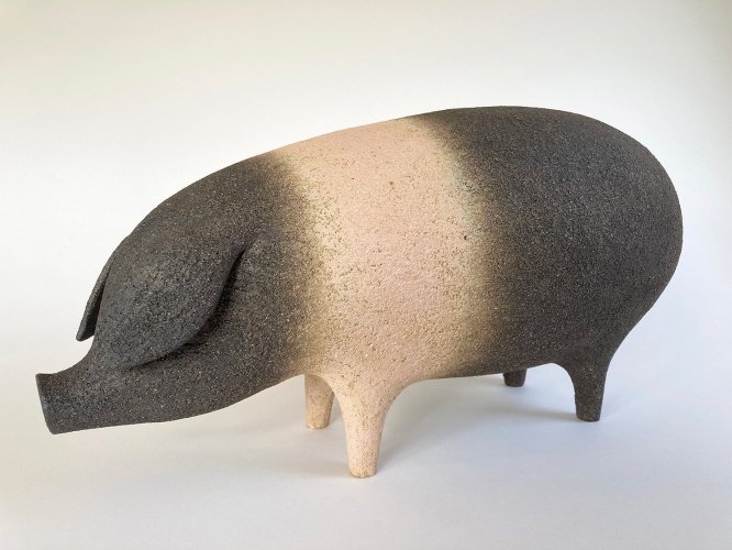 Saddleback Pig, large