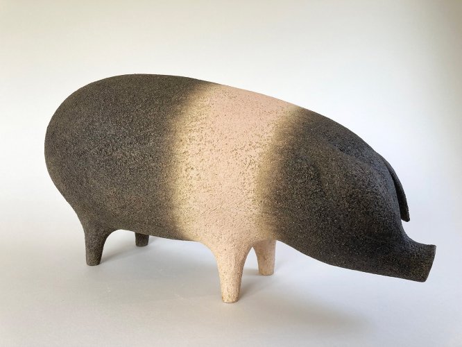 Alternative image