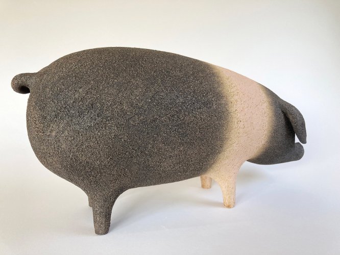 Alternative image
