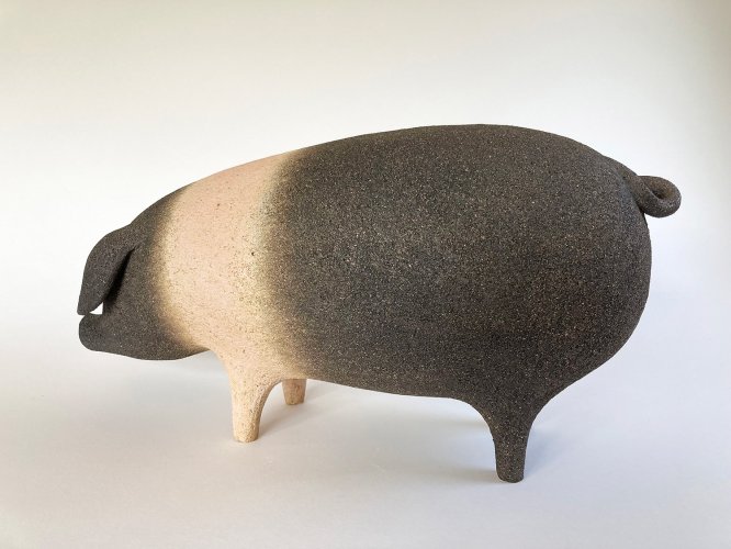 Alternative image