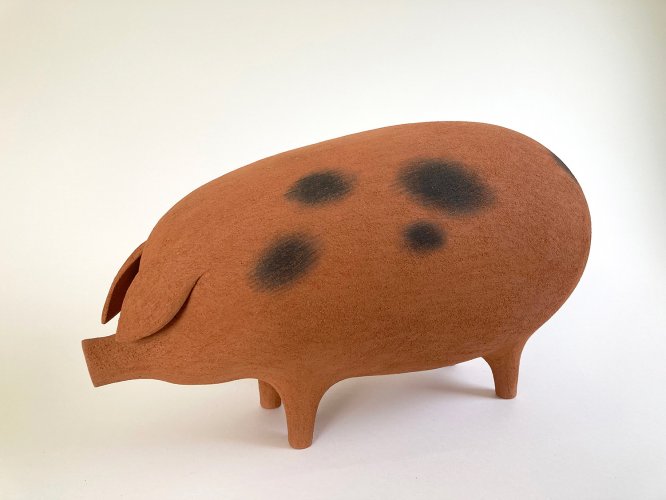 Ginger Spotted Pig