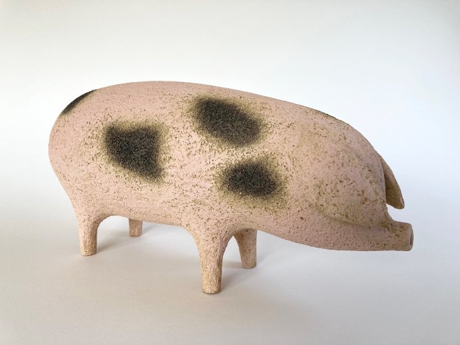 Alternative image