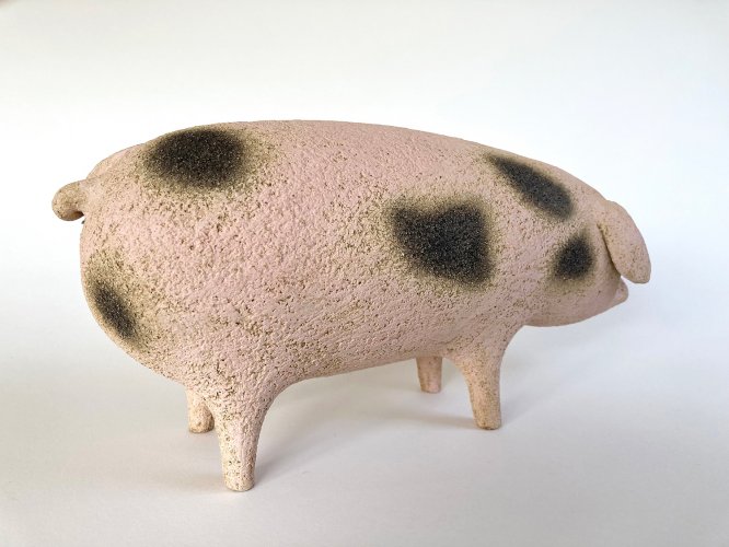 Alternative image
