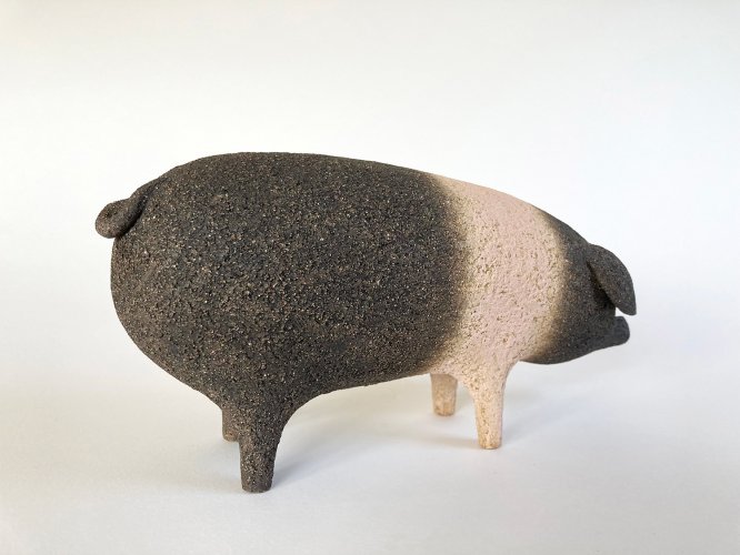 Alternative image