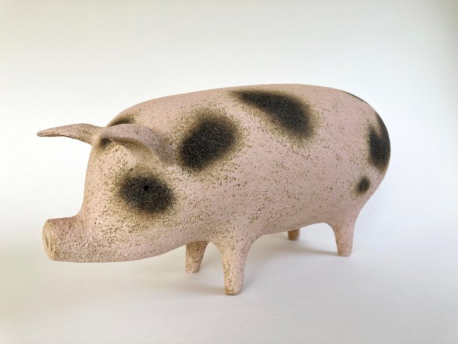Spotty Pig