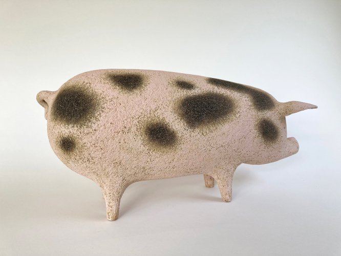 Alternative image