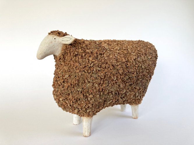 Brown Sheep