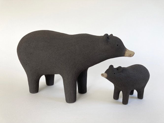Black Bears
