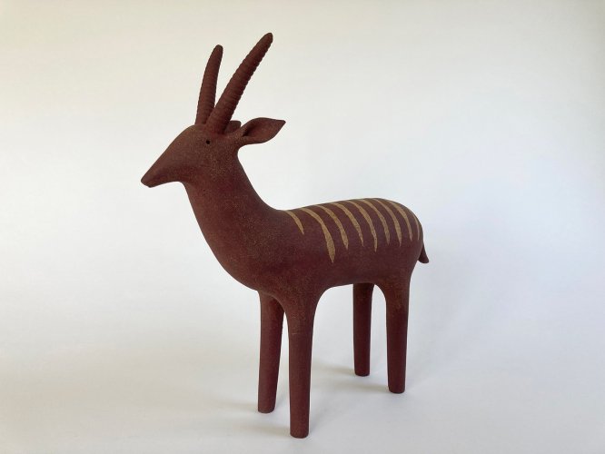 Striped Antelope