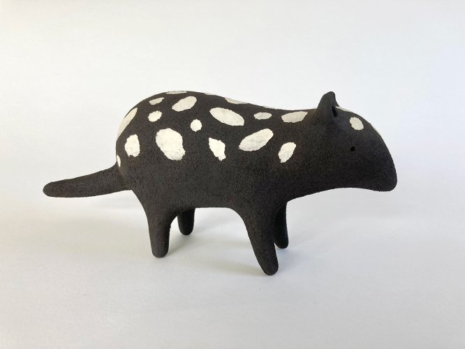 Quoll