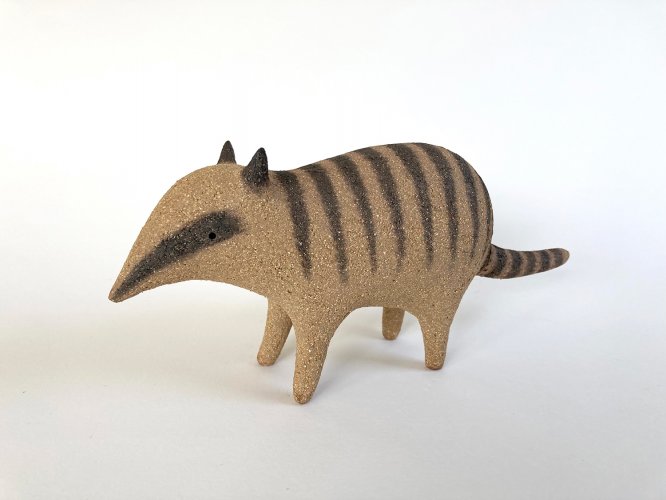 Numbat