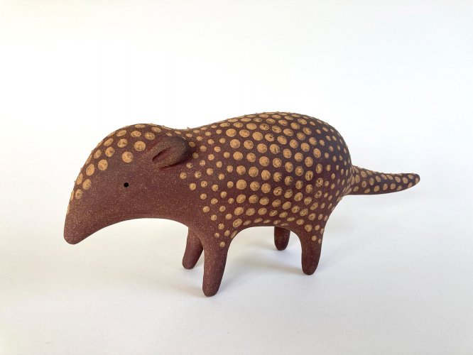 Armadillo