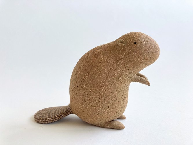 Beaver