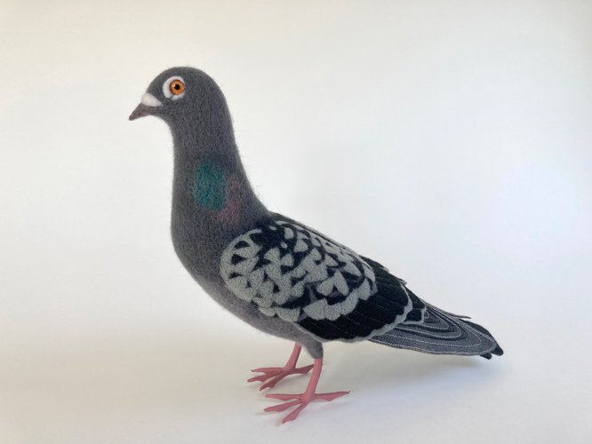 Alternative image