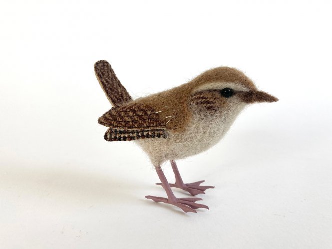 Wren 1