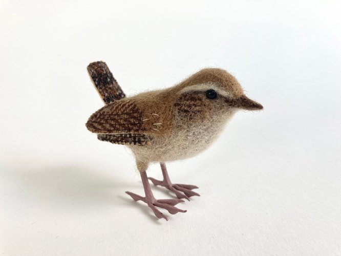 Wren 2