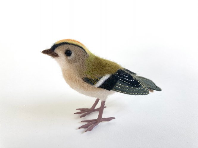 Goldcrest