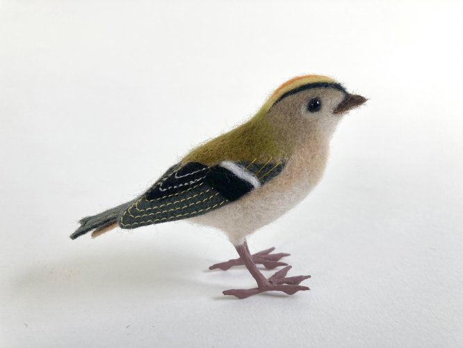 Alternative image