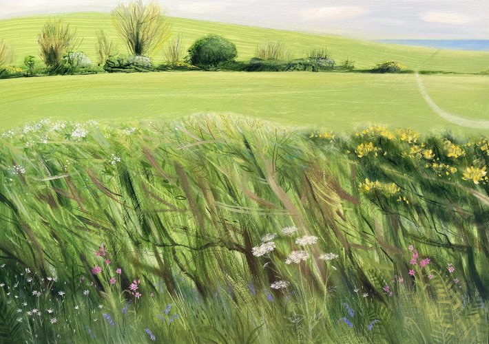 The May Hedgerow
