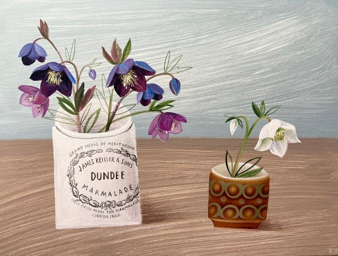 Hellebores from the Garden