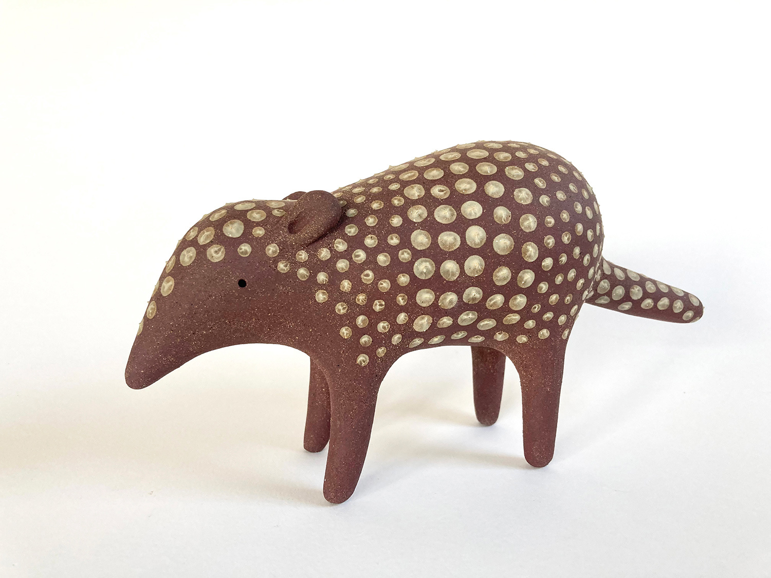 Armadillo by Russell Wilson