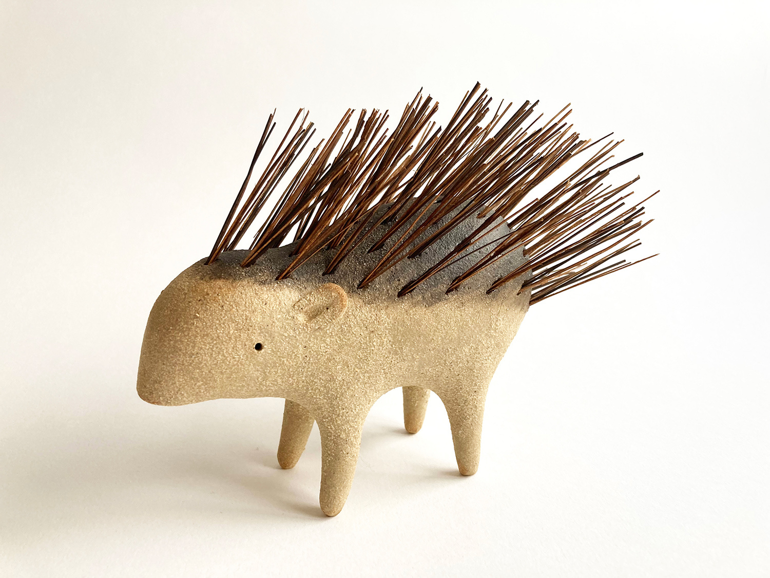 Porcupine by Russell Wilson