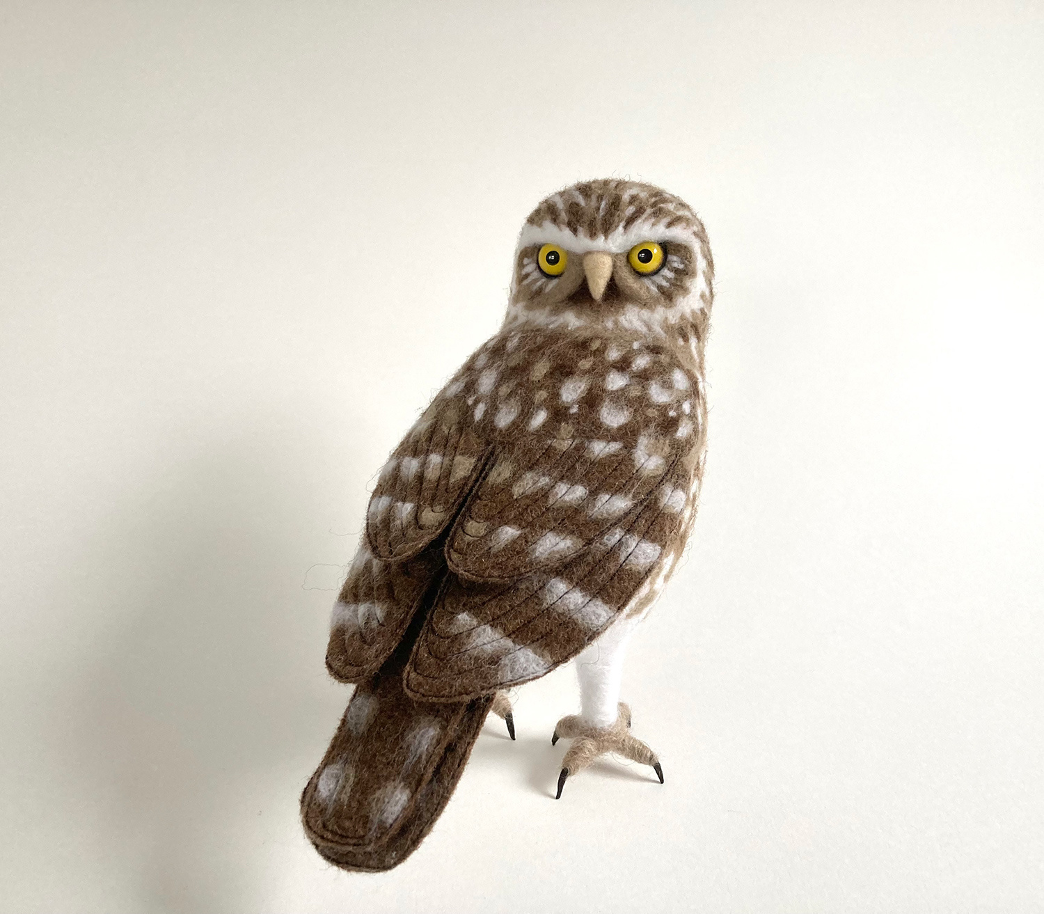 Little Owl by Russell Wilson