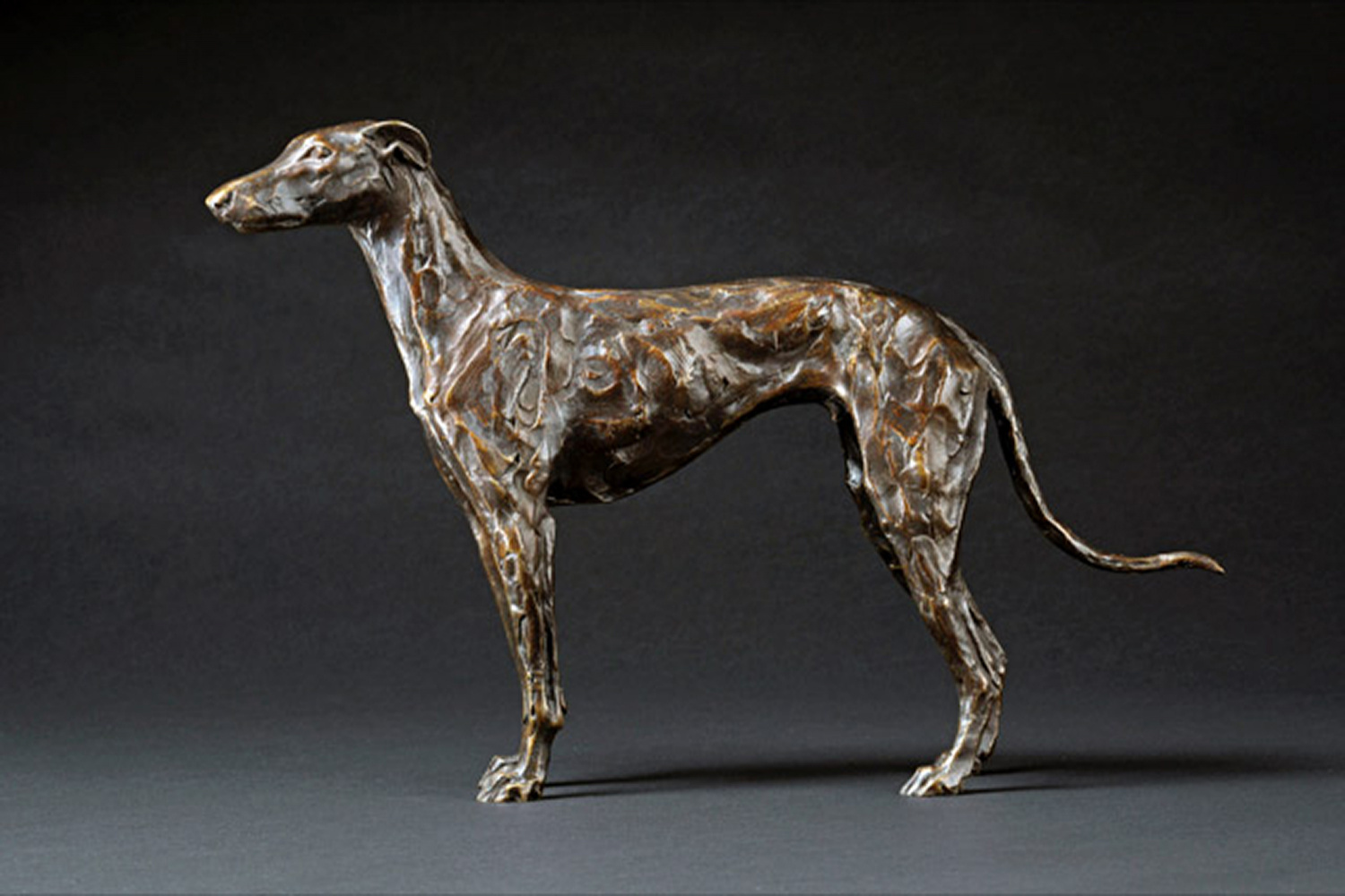 Standing Greyhound (Mojo) by Stuart Anderson