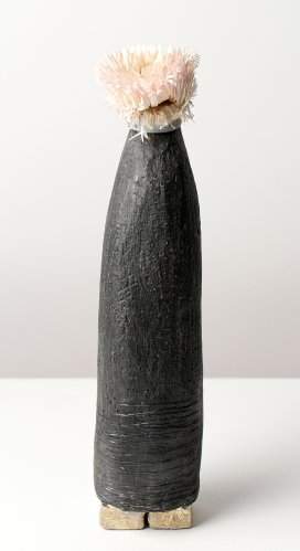 Alternative image
