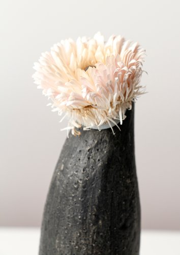 Alternative image