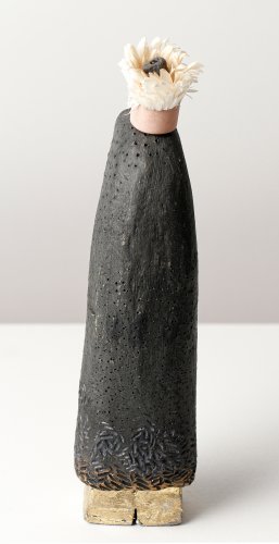 Alternative image
