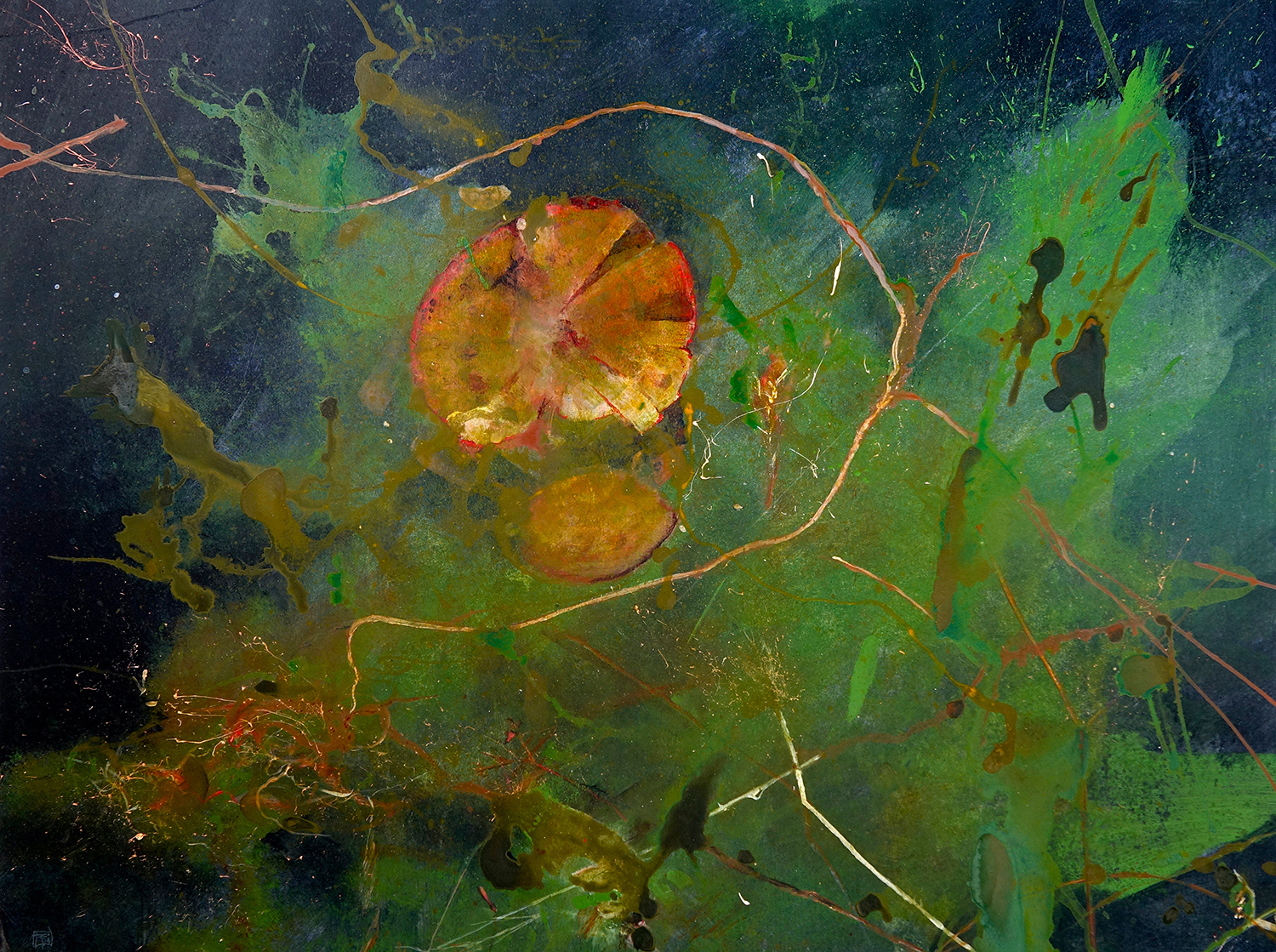 Floating by Tony Foster