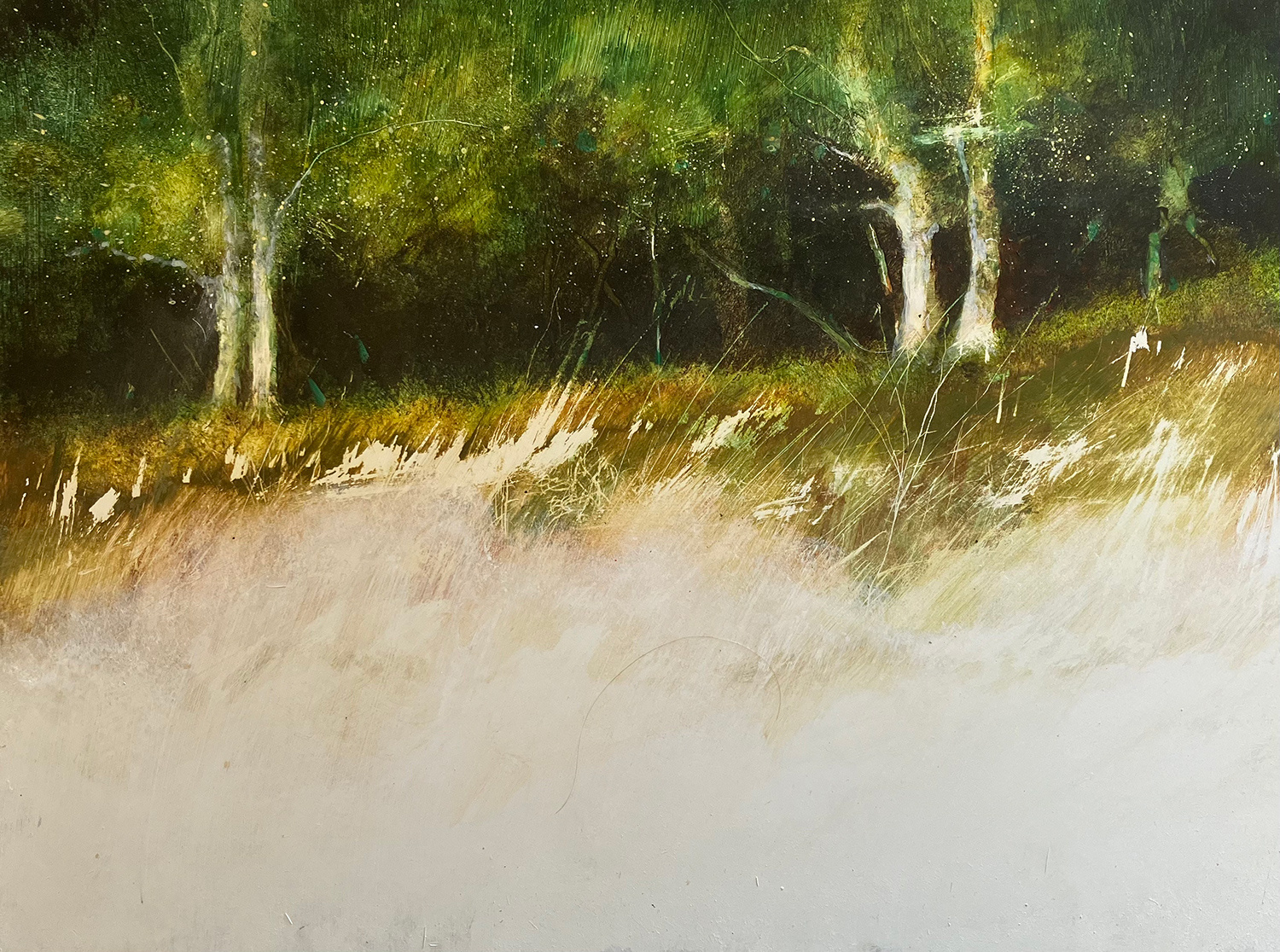 Into the Shade by Tony Foster